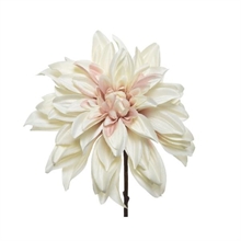 DALIA 67CM CREMA