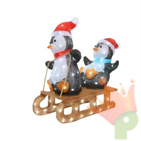 PINGUINI SU SLITTA LUMINOSA 56,5CM 110 LED BIANCO FREDDO