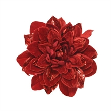 PEONIA 16CM ROSSA