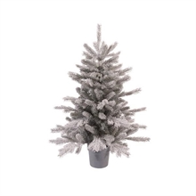 ALBERO 75CM GRANDIS FROSTED IN VASO