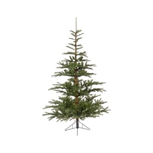 ALBERO 180CM NOBILIS D. 122CM