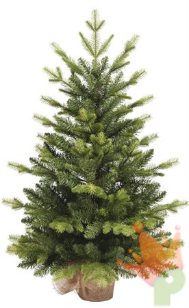 ALBERO 75CM PINO CON BASE JUTA