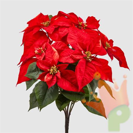 STELLA DI NATALE H. 51 CM ROSSA