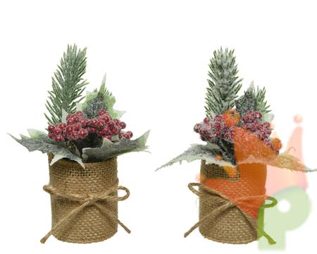 BACCHE ROSSE E PINETTO IN VASO JUTA 15 CM