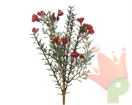 RAMO 30 CM CON FIORI ROSSI