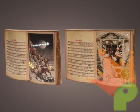 LIBRO 5,5X35X25 CM CON LED