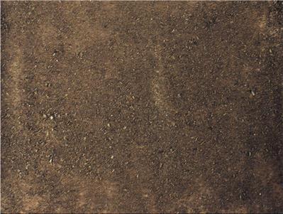 ROTOLO CARTA MARRONE 70X50 CM