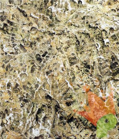 PANNELLO SUGHERO TIPO CORTECCIA NATURALE 33X25X1 CM