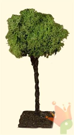 ALBERO LICHENE H.13 CM