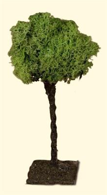 ALBERO LICHENE H.13 CM