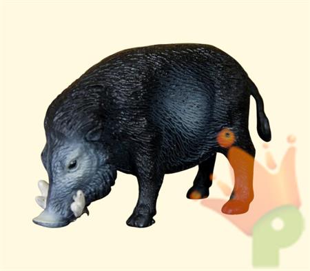 CINGHIALE 4 CM