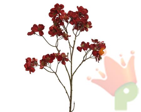 RAMO DI CORNIOLO ROSSO H.78 CM