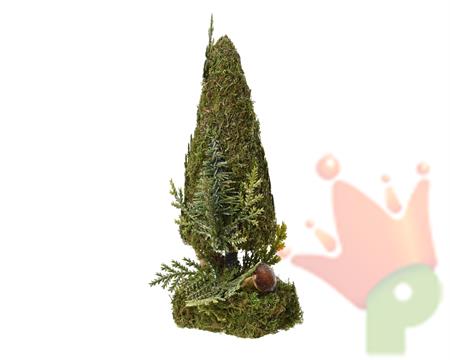 MINI ALBERO IN MUSCHIO CON FUNGHI E RAMETTO