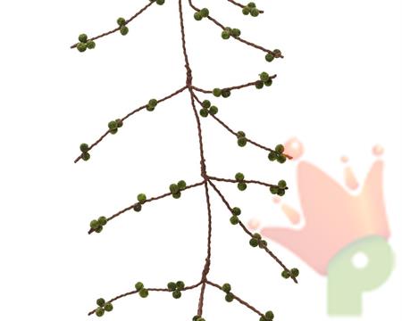 GHIRLANDA IN FELTRO CON BACCHE VERDI 115 CM