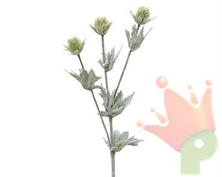RAMO ERYNGIUM  VERDE CON FOGLIE  SATINATE H.67 CM