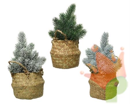 MINI ALBERO IN CESTO 3 ASSORTITI H. 24 CM