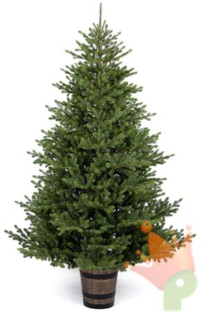 ALBERO DI NATALE 210 CM NATIONAL PO