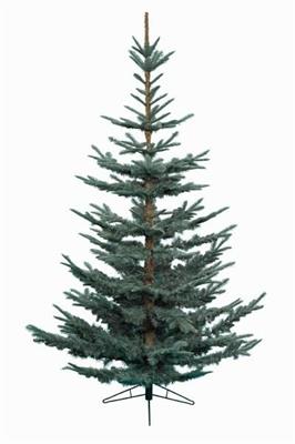 ALBERO NOBILIS FIR BLUE 1147 RAMI D. 147CM 21CM