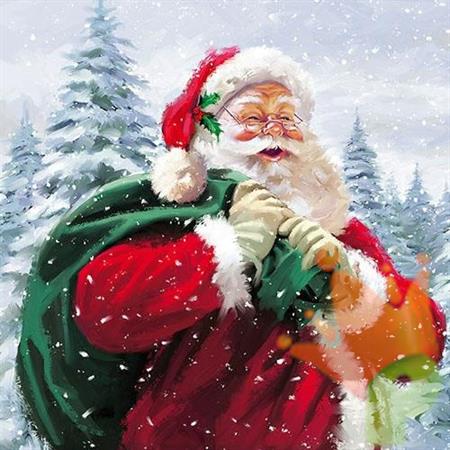 TOVAGLIOLI 33X33 HO HO HO! 20PZ