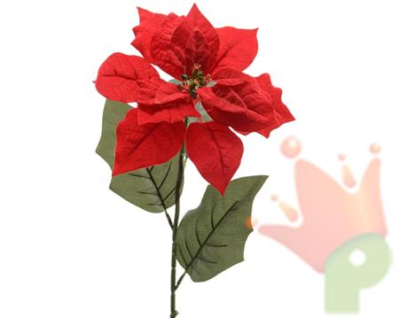 STELLA DI NATALE ROSSA 67CM
