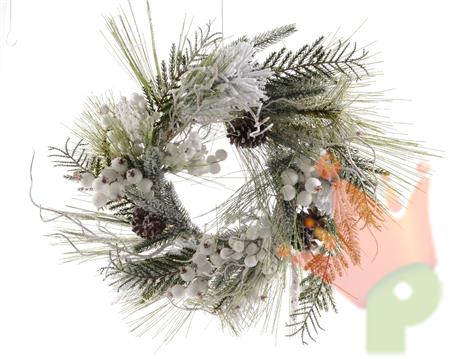 FUORIPORTA INNEVATO DIA 40