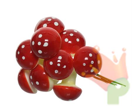 MAZZETTO FUNGHI DA 12PZ