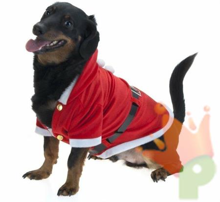 COSTUME TRAVESTIMENTO NATALIZIO PER CANE