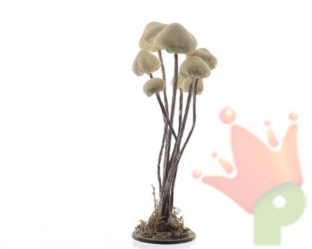 FUNGHI GLITTER COMPOSIZIONE ORO 21 CM