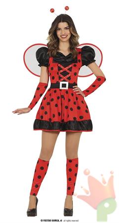 COSTUME COCCINELLA ADULTA TG.36/38 S