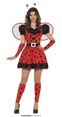 COSTUME COCCINELLA ADULTA TG.36/38 S