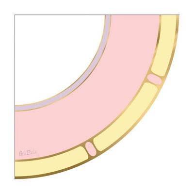 TOVAGLIOLI CON SMERLO VANITY PINK 16 PZ 33X33