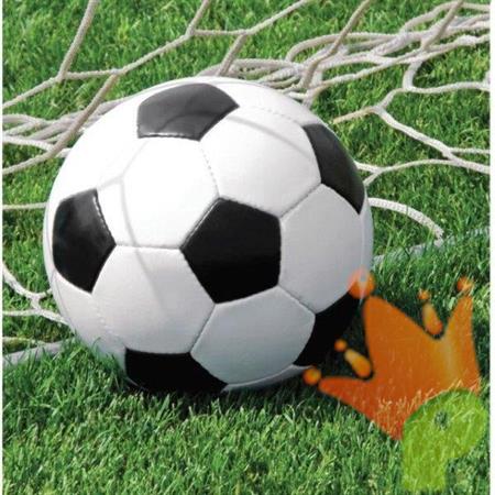 TOVAGLIOLI CALCIO 16 PZ 32,7X32,3 CM