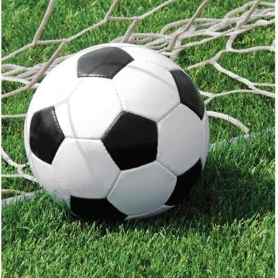 TOVAGLIOLI CALCIO 16 PZ 32,7X32,3 CM