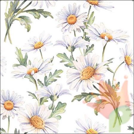 TOVAGLIOLI DECORO PRIMAVERA MARGHERITE 33X33 20 PZ