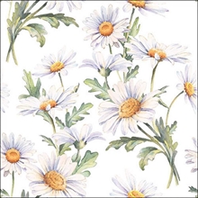 TOVAGLIOLI DECORO PRIMAVERA MARGHERITE 33X33 20 PZ