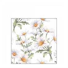 TOVAGLIOLI DECORO MARGHERITE BIANCHE 25X25 20 PZ