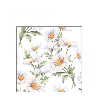 TOVAGLIOLI DECORO MARGHERITE BIANCHE 25X25 20 PZ