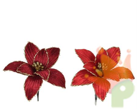 STELLA DI NATALE CON CLIP IN VELLUTO ROSSO/ BORDEAUX 13XH.5 CM A