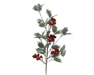 RAMO AGRIFOGLIO CON BACCHE ROSSE H.68 CM