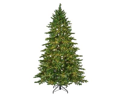 ALBERO DI NATALE 210 CM GALLOWAY SPRUCE LUMINOSO 4000 LED