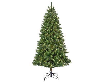 ALBERO DI NATALE 210 CM KENMORE FIR LUMINOSO 500 MICRO LED