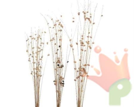 FIORI SECCHI  90X20X6CM NATURAL 3ASS