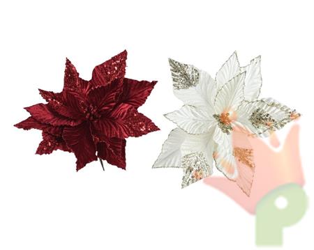 STELLA DI NATALE IN VELLUTO ROSSA / BIANCA CON PAILLETTES 30X15C