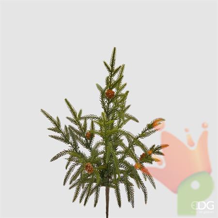 CRYPTOMERIA RAMO H.44 CM