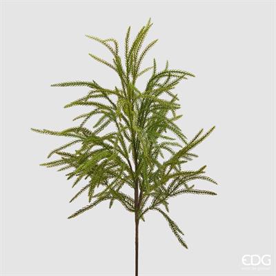CRYPTOMERIA RAMO H.71 CM