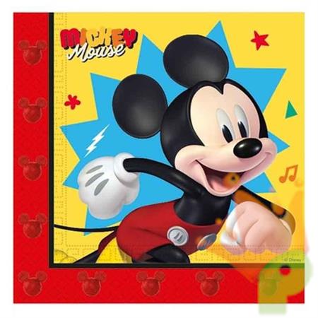 TOVAGLIOLI TOPOLINO 33X33CM 20PZ