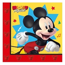 TOVAGLIOLI TOPOLINO 33X33CM 20PZ