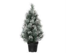 MINI ALBERO CANADA SPRUCE INNEVATO IN VASO H.60 CM