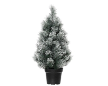 MINI ALBERO CANADA SPRUCE INNEVATO IN VASO H.90 CM