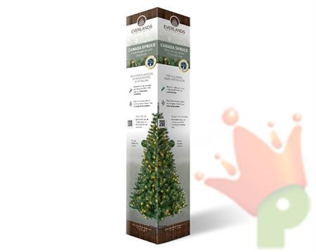 Presentation colomn es-it-po-no cardboard